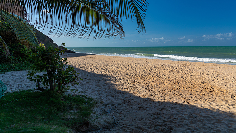 Praia de Pontal do Coruripe em Alagoas Beleza e tranquilidade